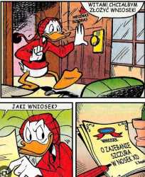229 KB