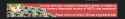 72 KB