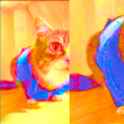 724 KB
