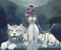 319 KB