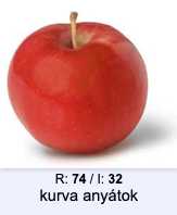 34 KB
