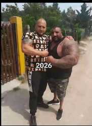 31 KB