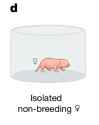 113 KB