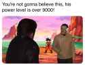 323 KB