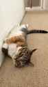 622 KB