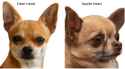 116 KB