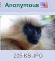 304 KB