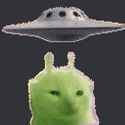 25 KB
