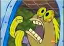 24 KB