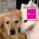 39 KB