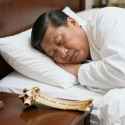 Rule 34 Rule 34 Image