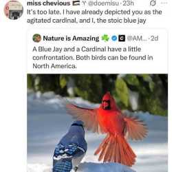 33 KB