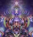 2.7 MB