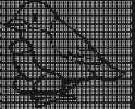 29 KB
