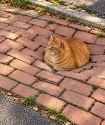 2.46 MB