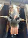 1.07 MB
