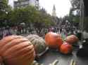 295 KB