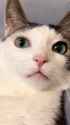 924 KB