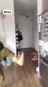 2.45 MB