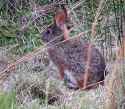 726 KB