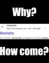 19 KB