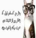 55 KB