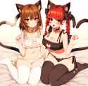 unknown cat and rin kaenbyou orin underwear