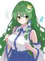 __kochiya_sanae_touhou_drawn_by_nishikisasa0512__6aa0541e7408f0bb0a5d1a1f987bb809