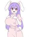 __reisen_udongein_inaba_touhou_drawn_by_onkn_sxkn__f06b2ce7d0c3cf5bf6144cee7fe9d9ec