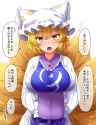 __yakumo_ran_touhou_drawn_by_fusu_a95101221__be42f74aa98d85df9170dfe6e15d5bcf