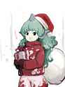 santa aunn