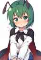 1boy, wriggle nightbug, touhou, rating:explicit