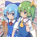 Dai-chan and Cirno shopping