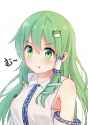 __kochiya_sanae_touhou_drawn_by_yaruwashi__sample-fc159d26e978aeb1c2ed34a46a545611