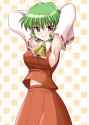 __hakurei_reimu_and_kazami_yuuka_touhou_drawn_by_bococho__7a6618e9570bc2f34b9192708a40f264