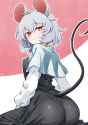 __nazrin_touhou_drawn_by_scavia10__sample-b956424e3d9a598c89d7d232117dffca