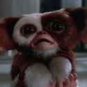 Gremlins-30th-Anniversary-Fun-Facts-Video