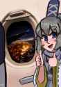 futo plane