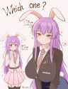 __reisen_udongein_inaba_touhou_drawn_by_vallneko__b4bcbd7bb7df008876f504ad3bd8efef