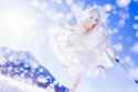 winter_snow_sony_dollfiedream-444843309