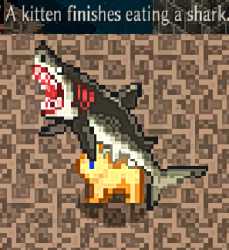 kitten shark