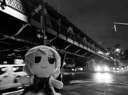 Cirno in the city