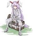 __reisen_udongein_inaba_touhou_and_1_more_drawn_by_kankan33333__d232548ed49ac6ed3a8dcac57cda1ee9