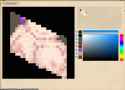 Elin Screenshot 2025.05.03 - 20.33.56.51