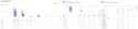 yt stats