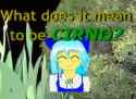 Sirno tf