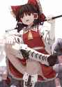 __hakurei_reimu_touhou_drawn_by_zetsumame__29a18802088e3a14c060b3b35db6caf4