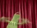 kermit spergout