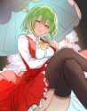 __kazami_yuuka_touhou_drawn_by_ekisutora__4f75b1a70dc28d0fb9b2ff8228f8000c