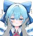 __cirno_touhou_drawn_by_mikan_manmarumikan__bd73a3fc7107e9e5f83204fe8ee25599